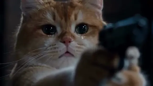 Котёнок не может выстрелить