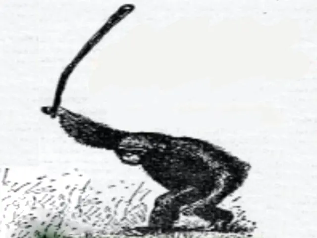 Monkey with a club (bund) blank meme template