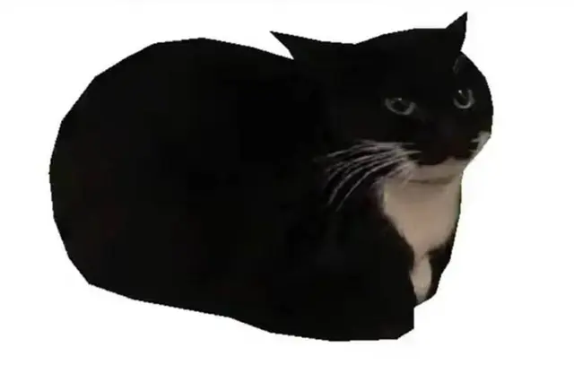 Spinning cat blank meme template