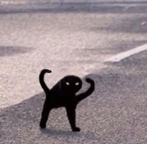 Cursed Cat blank meme template