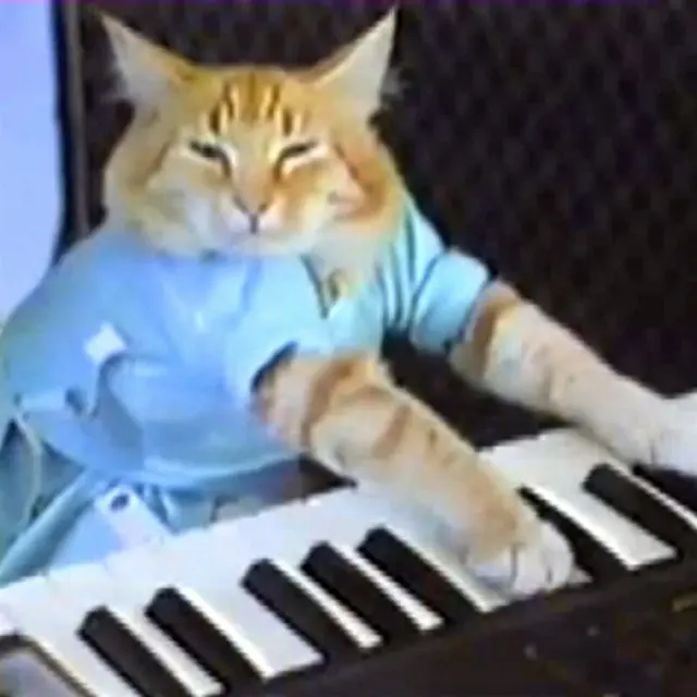 Keyboard-cat blank meme template