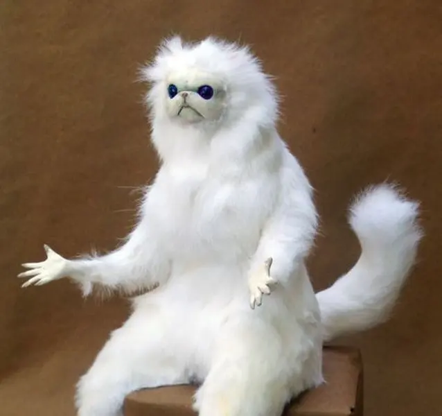 Persian Cat Room Guardian blank meme template