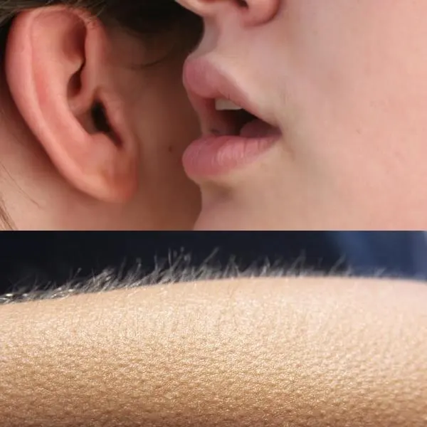 Whisper and Goosebumps blank meme template