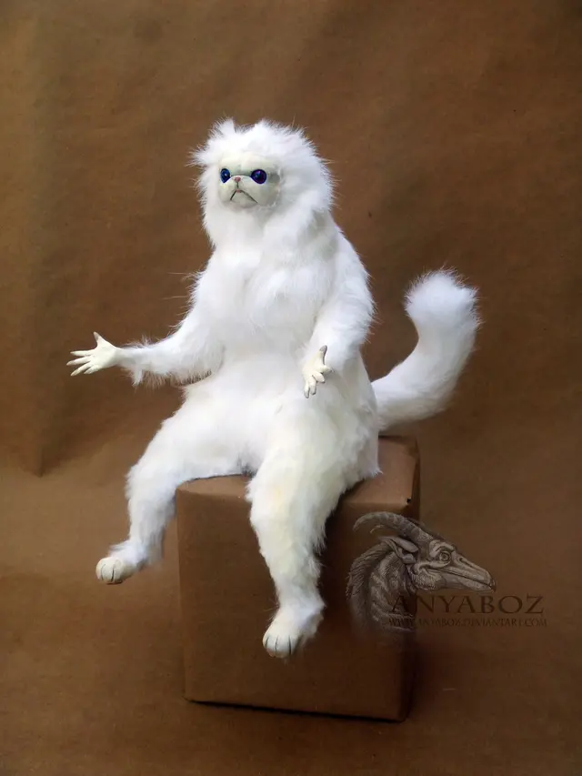 Persian Cat Room Guardian Single meme template