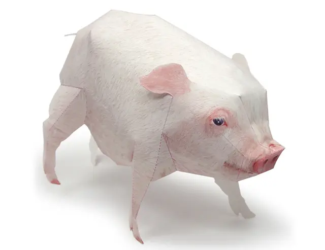 Paper pig blank meme template