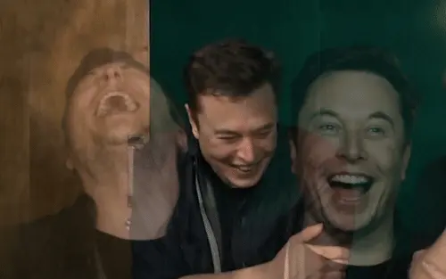 Elon Musk and a dead deer blank meme template
