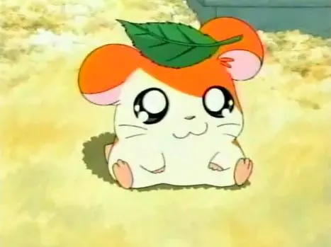 Hamtaro blank meme template