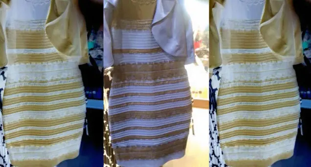 What color is the dress? blank meme template