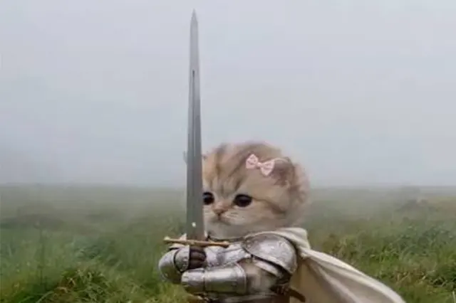 Knight Kitten blank meme template