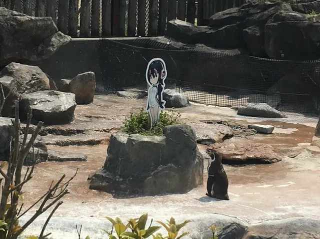 Penguin and anime girl blank meme template