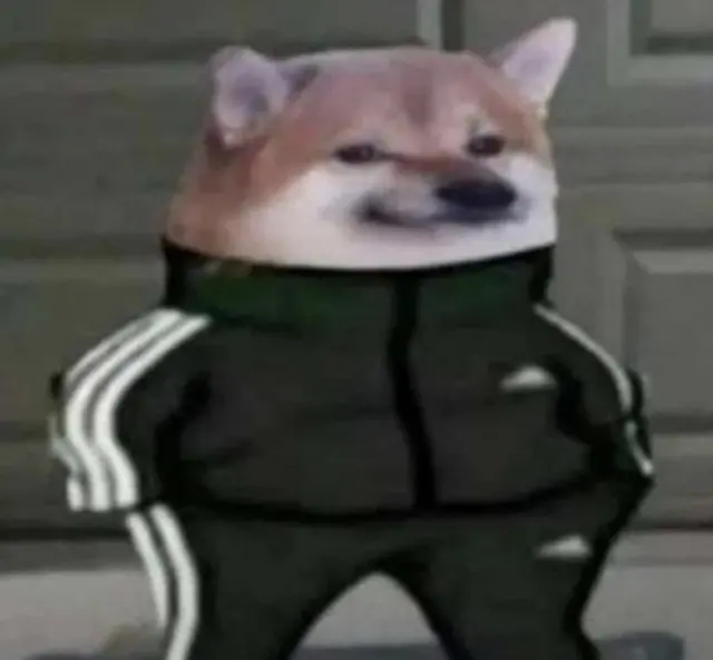 Adidas Dog blank meme template