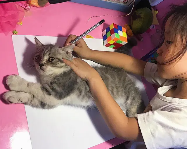 Girl Tracing Cat blank meme template