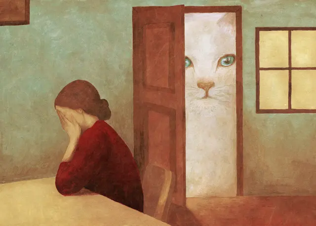 That giant cat again blank meme template
