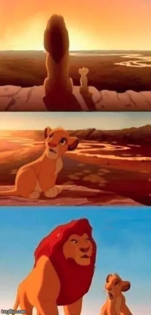 Simba Shadowy Place meme template