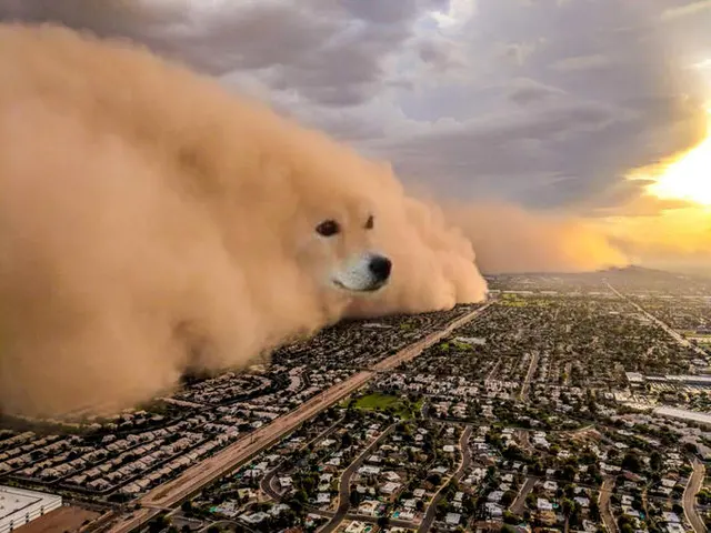 Dust Storm Dog blank meme template
