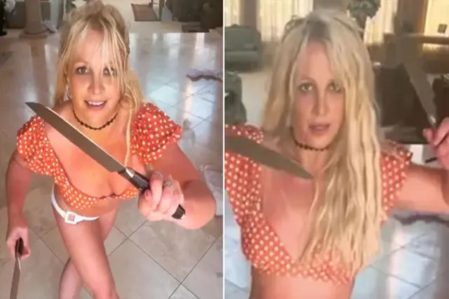 Hibachi Britney blank meme template