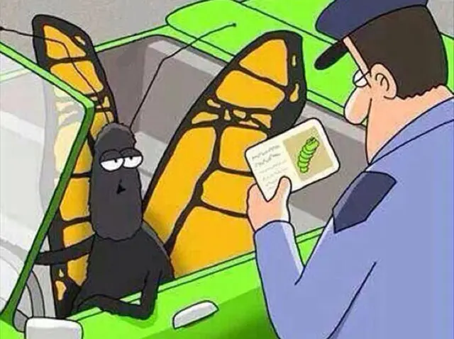 This is an old photo (butterfly driving) blank meme template