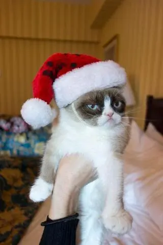 Grumpy Cat Christmas blank meme template
