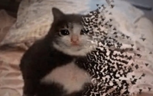 What have you done? blank meme template