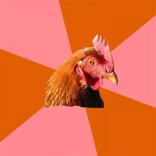 Anti Joke Chicken blank meme template