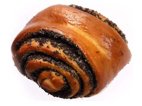Bun with poppy seeds blank meme template