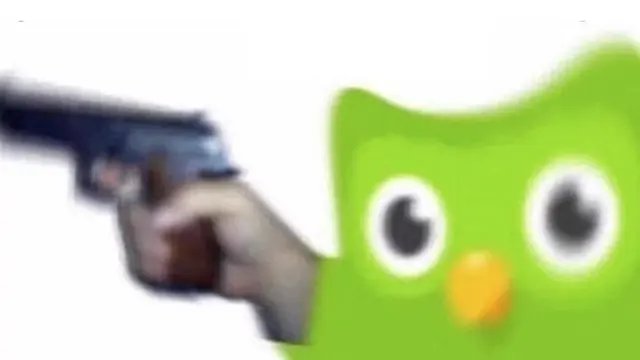 Evil Duolingo Owl blank meme template