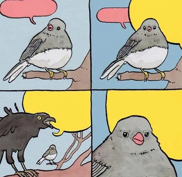 Annoyed Bird blank meme template