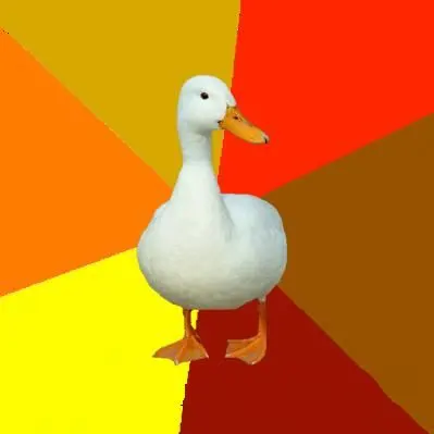 Technologically Impaired Duck blank meme template