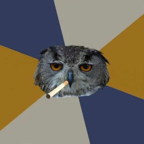 Art Student Owl blank meme template