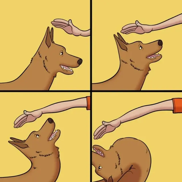 Dog avoids petting blank meme template
