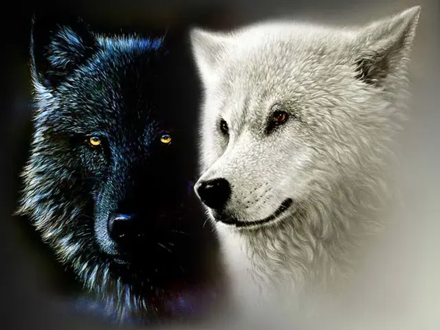 Inside You There Are Two Wolves blank meme template