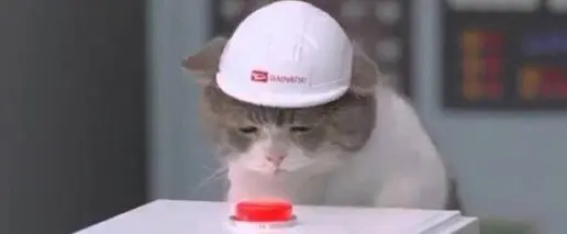 The cat presses the red button blank meme template