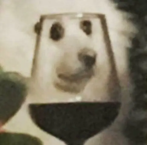 Dorow (dog with a glass of wine) blank meme template