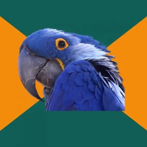 Paranoid Parrot blank meme template