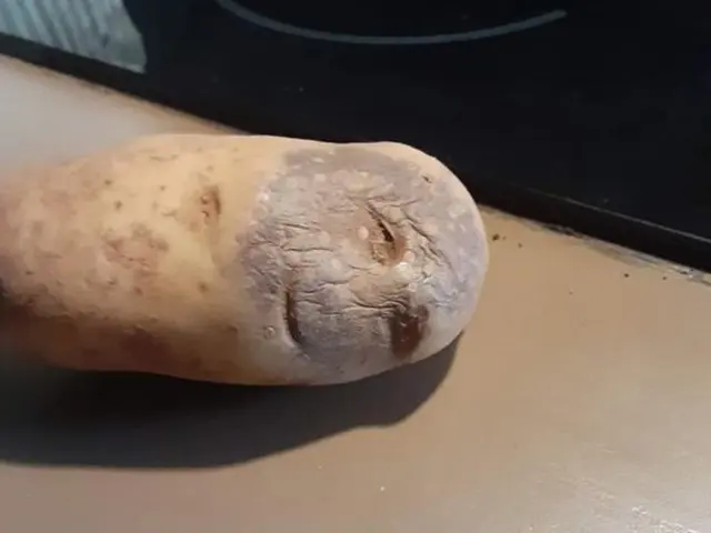 Potato with a human face blank meme template