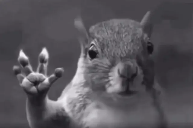 Squirrel Waving Bye in Tornado blank meme template