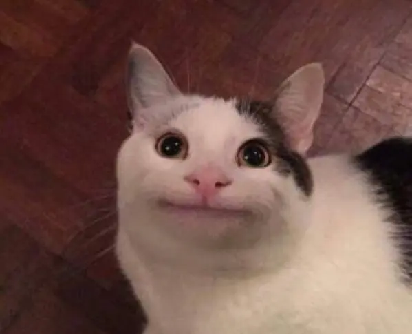 He Looks Very Polite blank meme template
