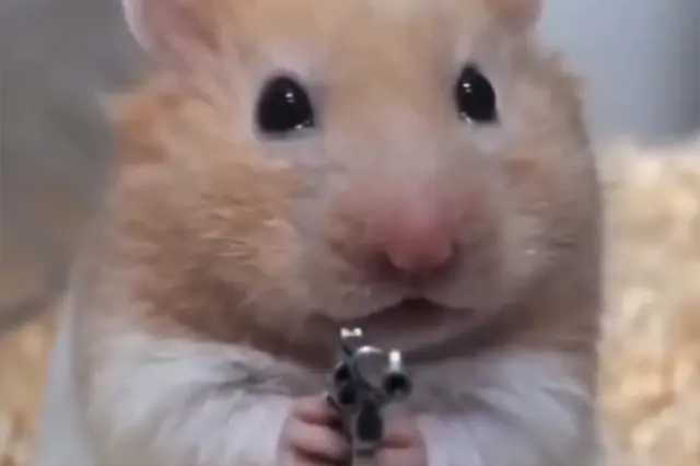 Hurt Hammy blank meme template