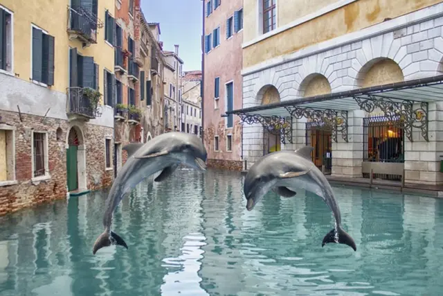 Dolphins returned to Venice blank meme template