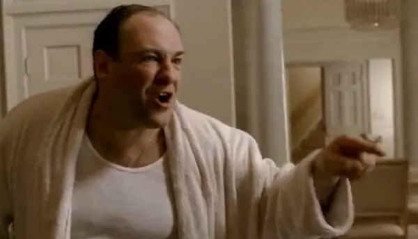 Tony Soprano in this house blank meme template