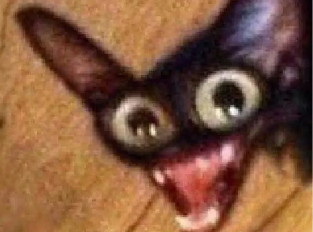 Chipsek blank meme template