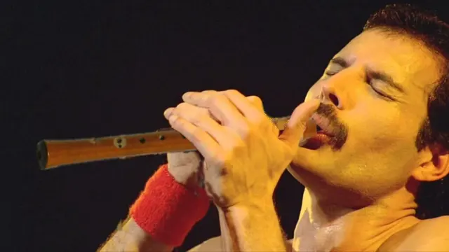 «Shittyflute» blank meme template