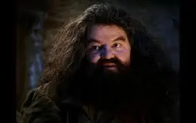 hagrid yer a wizard blank meme template