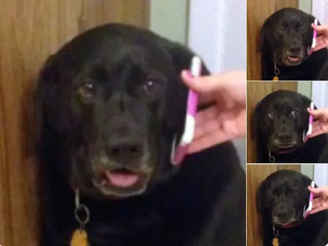 991 I have a emergenci blank meme template